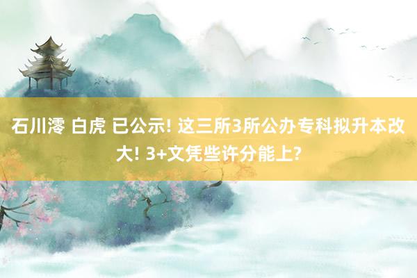 石川澪 白虎 已公示! 这三所3所公办专科拟升本改大! 3+文凭些许分能上?