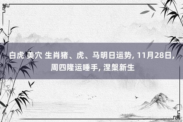 白虎 美穴 生肖猪、虎、马明日运势， 11月28日， 周四隆运唾手， 涅槃新生