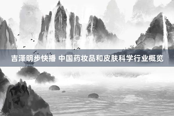 吉泽明步快播 中国药妆品和皮肤科学行业概览